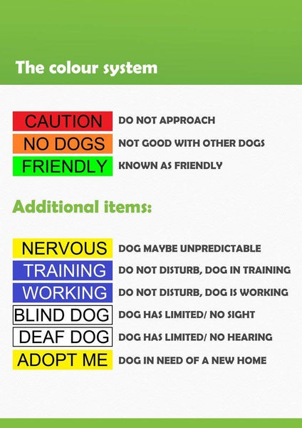 BLIND DOG White Color Coded Alert Warning 2 4 6 Foot Padded Dog Leash (No\/Limited Sight) PREVENTS Accidents By Warning Others of Your Dog in Advance