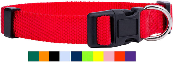 Native Pup Nylon Dog Collar Classic Solid Colors