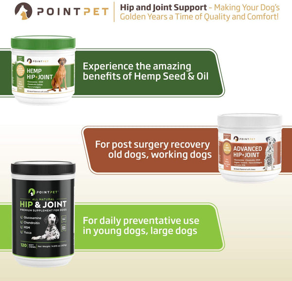 POINTPET Glucosamine for Dogs, Premium Joint Supplement with Chondroitin, MSM, Omega 3, 6, Vitamin C and E, Supports Healthy Joints, Improves Mobility and Hip Dysplasia, Arthritis Pain Relief