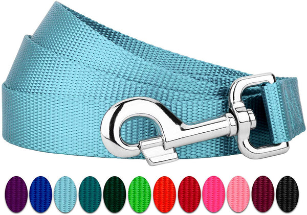 Country Brook Petz - Vibrant 13 Color Selection - Heavyduty Doublehandle Nylon Leash (6 Foot, 1 Inch Wide)