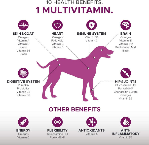 10 in 1 Dog Multivitamin with Glucosamine - Essential Dog Vitamins with Glucosamine Chondroitin, Probiotics and Omega Fish Oil for Dogs Overall Health - glucosamine for dogs joint supplement heart