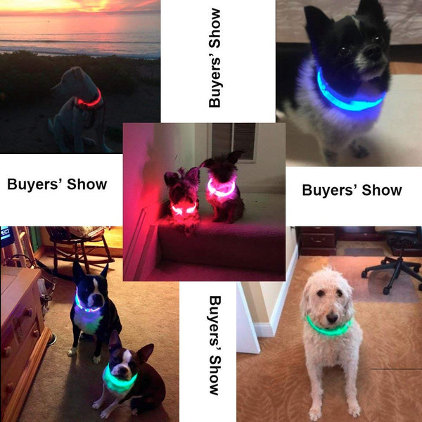 BSEEN LED Dog Collar, USB Rechargeable Glowing Pet Collar, TPU Cuttable Dog Safety Lights for Small Medium Large Dogs