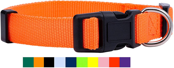 Native Pup Nylon Dog Collar Classic Solid Colors