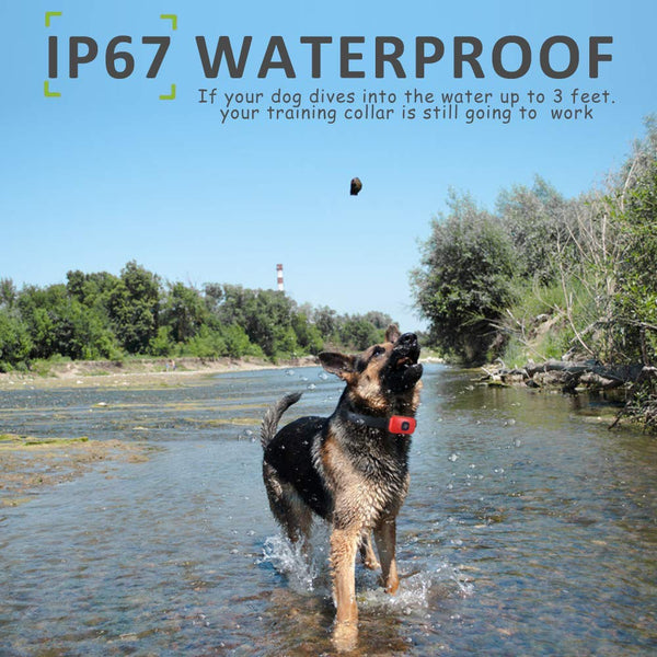 HOTLEA Dog Shock Collar with Remote, IP67 Waterproof Dog Training Collar, 3 Training Modes Suitable for Small/Medium/Large Dogs, up to 1300Ft Remote Range