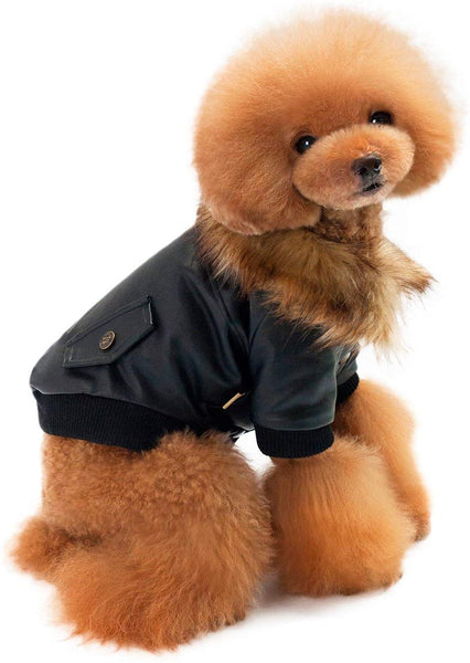 LESYPET Leather Dog Coats Waterproof Dog Winter Coat Puppy Jackets for Small to Medium Dogs