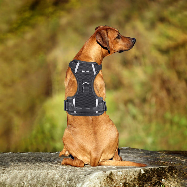 GAUTERF Dog Vest Harness Adjustable Reflective Breathable Oxford Soft with Front & Back 2 Leash Attachments and Easy Control Handle Vest Outdoor Harness fit Medium Large Dogs