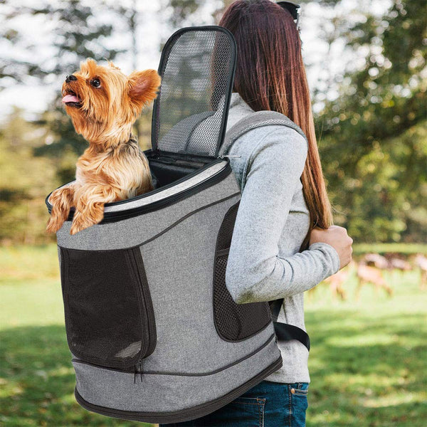 Arkmiido Pet Carrier Pet Backpack for Small Dogs Cats Puppies Pet Travel Bag Airline Approved with Mesh Windows Soft Mat for Hiking Travel Camping Outdoor to 18 Lbs Grey