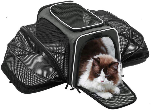 Akinerri Airline Approved Pet Carriers,Soft Sided Collapsible Pet Travel Carrier for Medium Puppy and Cats …