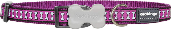 Red Dingo Reflective Dog Collar, Large