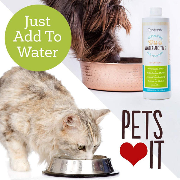 Oxyfresh Premium Pet Dental Care Solution: Best Way to Eliminate Bad Dog Breath & Cat Breath - Fights Tartar, Plaque & Gum Disease! - So Easy, just add to Water! Vet Recommended!