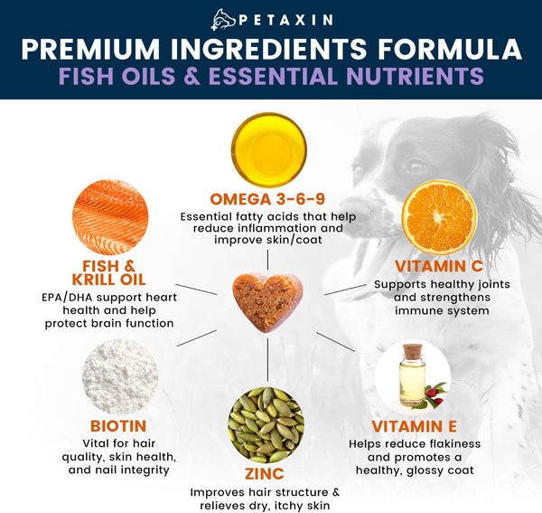 Petaxin Omega 3 Fish Oil for Dogs Chew - with EPA, DHA, and Biotin - Supports Healthy Skin, Shiny Coat, Hips & Joints, Heart Health, and Brain Function - Skin and Coat Supplement - Non-GMO - 120 Ct.