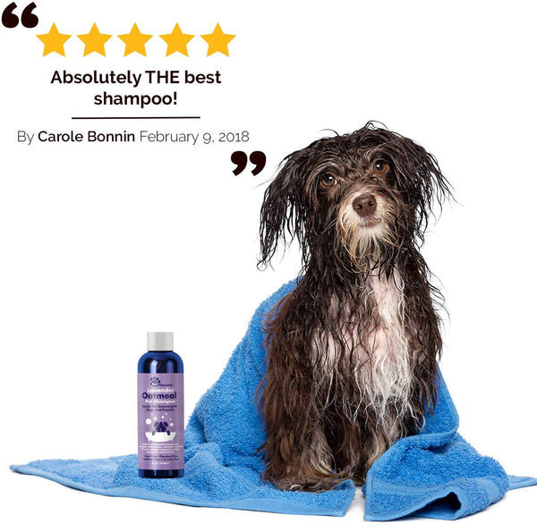 Natural Dog Shampoo with Colloidal Oatmeal - Puppy Shampoo for Dog Bath with Lavender Essential Oil Dog Wash - Pet Odor Eliminator Dog Shampoo for Smelly Dogs and Pet Grooming Itch Relief for Dogs