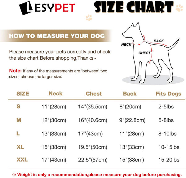 LESYPET Leather Dog Coats Waterproof Dog Winter Coat Puppy Jackets for Small to Medium Dogs