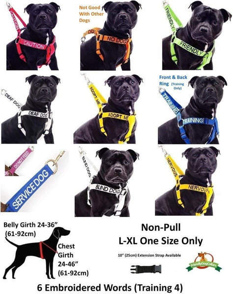 BLIND DOG White Color Coded Alert Warning 2 4 6 Foot Padded Dog Leash (No\/Limited Sight) PREVENTS Accidents By Warning Others of Your Dog in Advance