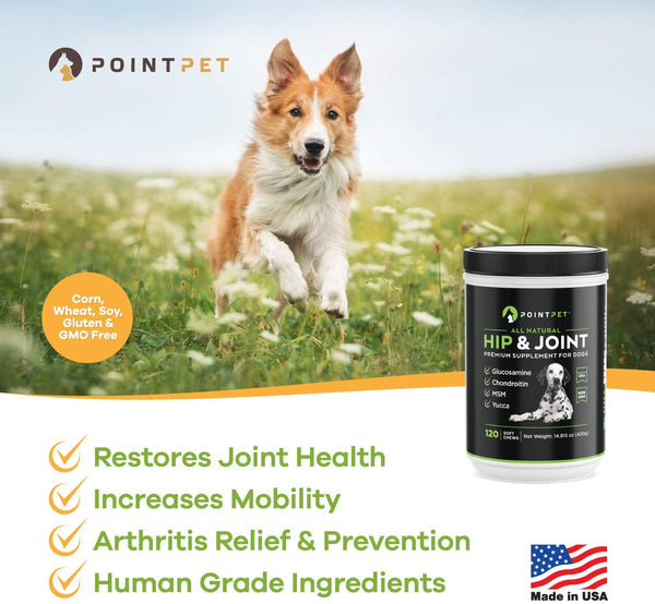 POINTPET Glucosamine for Dogs, Premium Joint Supplement with Chondroitin, MSM, Omega 3, 6, Vitamin C and E, Supports Healthy Joints, Improves Mobility and Hip Dysplasia, Arthritis Pain Relief