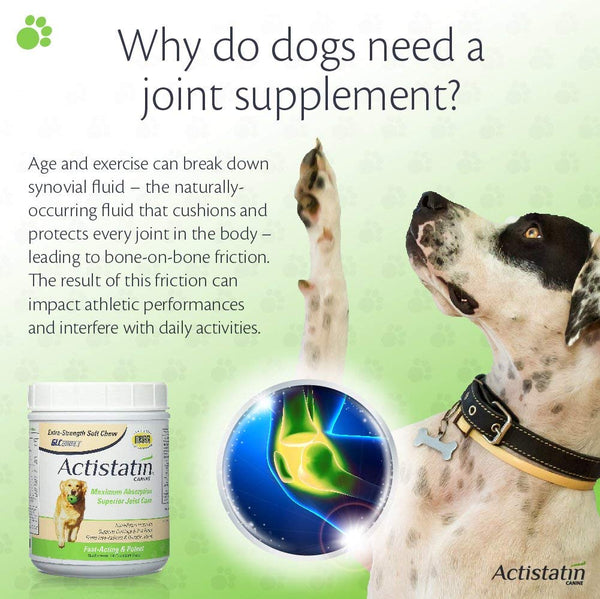 Actistatin Canine - Patented Extra-Strength Joint, Cartilage, Soft Tissue Supplement: Glucosamine, Chondroitin, Manganese, MSM, L-Carnitine - High Absorption, Fast Results