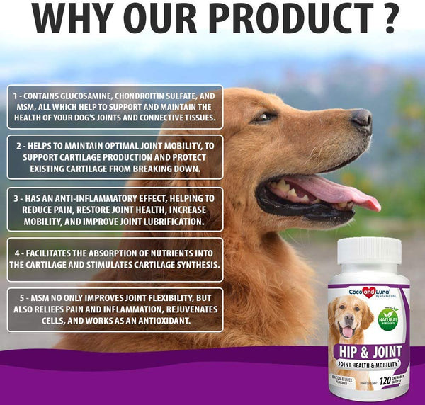 Glucosamine for Dogs, Hip and Joint Support for Dogs, MSM, Chondroitin, Pain Relief from Arthritis, Joint Inflammation and Dysplasia, for Healthy Cartilage and Mobility, 120 Natural Chew-able Tablets