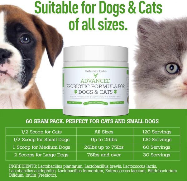 Vetrinex Labs Probiotics for Dogs & Cats - Coprophagia, Diarrhea, Poop Eating Deterrent & Prevention, Bad Breath, Skin Yeast Infection Treatment - Dog and Cat Probiotic Powder with Prebiotics