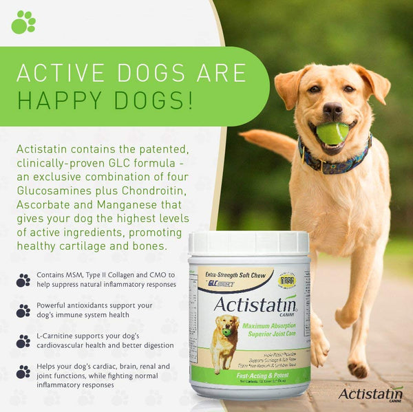 Actistatin Canine - Patented Extra-Strength Joint, Cartilage, Soft Tissue Supplement: Glucosamine, Chondroitin, Manganese, MSM, L-Carnitine - High Absorption, Fast Results