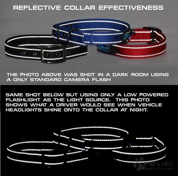 Max and Neo MAX Reflective Metal Buckle Dog Collar - We Donate a Collar to a Dog Rescue for Every Collar Sold