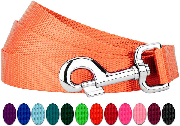 Country Brook Petz - Vibrant 13 Color Selection - Heavyduty Doublehandle Nylon Leash (6 Foot, 1 Inch Wide)