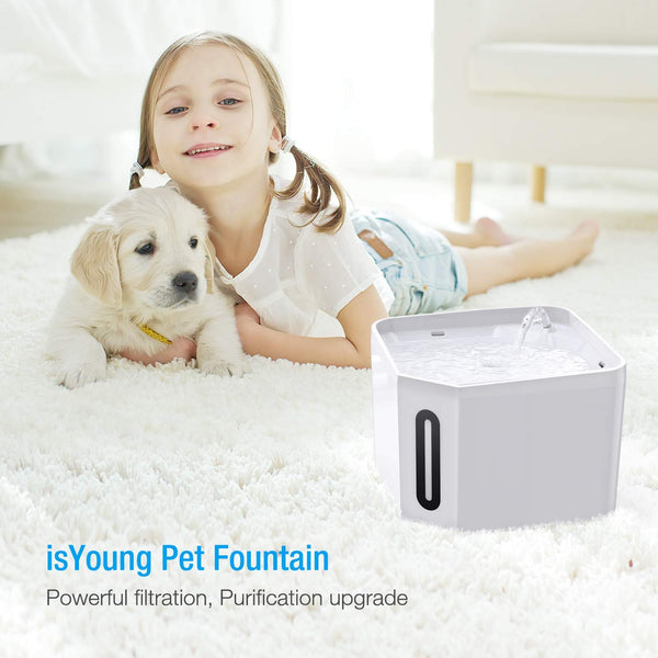 isYoung Pet Fountain, 84oz/2.5L Automatic Cat Water Fountain Dog Water Dispenser for Cats, Dogs, Multiple Pets