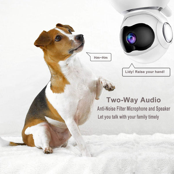 DEYAN pet Camera, 1080P Dog Camera, WiFi pet Monitor, Indoor cat Camera HD Night Vision 2-Way Audio, Motion Tracking and Sound Detection, with Intelligent pan/tilt/Zoom Function