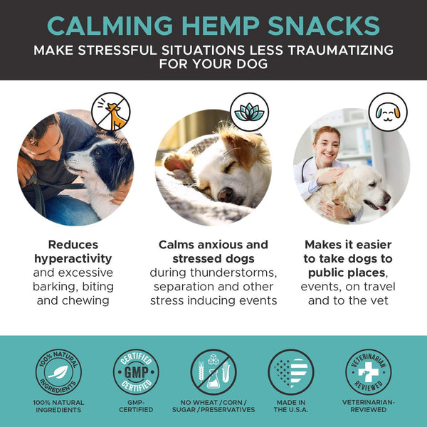 PetHonesty Hemp Calming Treats for Dogs - All-Natural Soothing Snacks with Hemp + Valerian Root, Stress & Dog Anxiety Relief - Aids with Thunder, Fireworks, Chewing & Barking