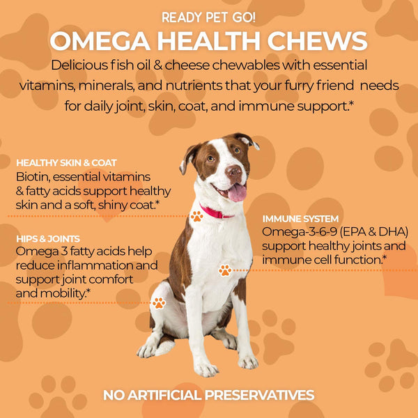 Ready Pet Go! Omega 3 for Dogs - Dog Shedding, Skin Allergy, Itch Relief, Mange and Hot Spots Treatment - EPA & DHA - Natural Joint Supplement for Dogs, Heart and Brain Health - 90 Fish Oil Soft Chews