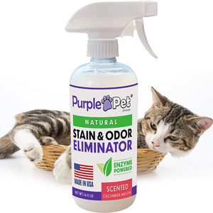 iPrimio Purple Pet Litter Urine Odor Eliminator Spray for Dogs and Cats - All Natural Enzyme Powdered - Made in USA