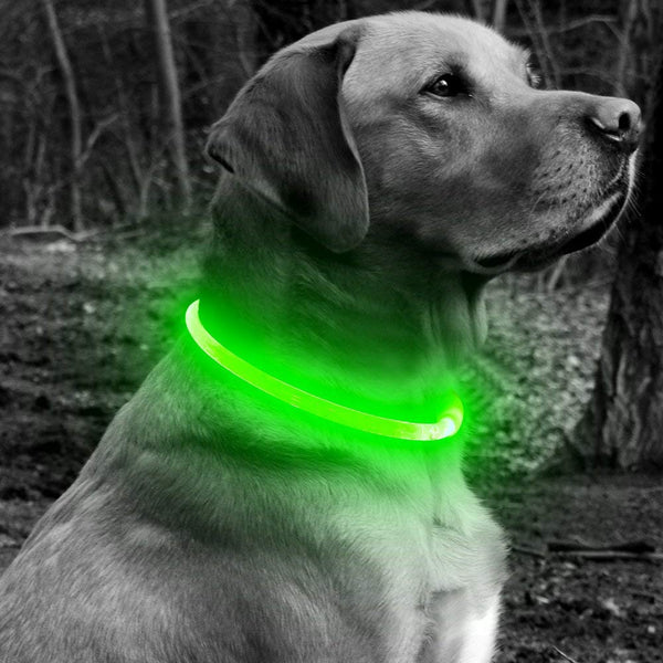 BSEEN LED Dog Collar, USB Rechargeable Glowing Pet Collar, TPU Cuttable Dog Safety Lights for Small Medium Large Dogs