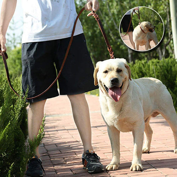 Wellbro Luxury Genuine Leather Double Handle Dog Leash, Braided Training Lead with Traffic Handle, Easy Control and Heavy Duty, 1.8cm Width by 6ft Length, Brown