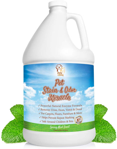 Pet Stain & Odor Remover, Enzyme Cleaner, Odor Eliminator, Best Carpet Stain Remover, Pet Odor Eliminator, Stain Remover, Odor Neutralizer, Cat Urine Smell - Cleaner - Eliminator, Sunny and Honey, 1 Gallon