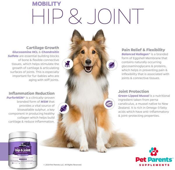 Pet Parents USA Dog Joint Supplement - Glucosamine for Dogs 4g 90c - Dog Arthritis Supplement - Glucosamine Chondroitin for Dogs + MSM for Dogs & Green Lipped Mussel - Hip & Joint Supplement for Dogs