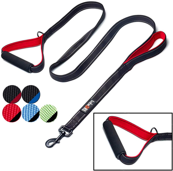 tobeDRI Heavy Duty Dog Leash - 2 Padded Handles, 6 feet Long - Dog Training Walking Leashes for Medium Large Dogs