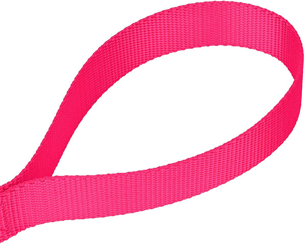 Country Brook Petz - Vibrant 13 Color Selection - Heavyduty Doublehandle Nylon Leash (6 Foot, 1 Inch Wide)