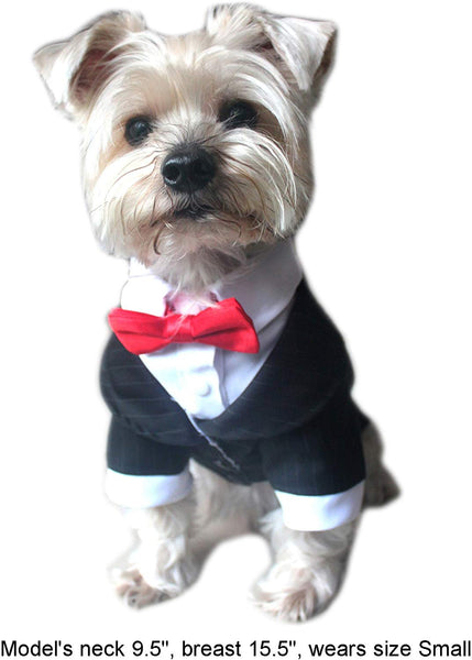 Alfie Pet - Oscar Formal Tuxedo with Black Tie and Red Bow Tie