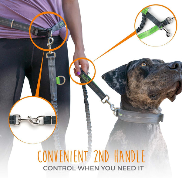 Mighty Paw Hands Free Dog Leash, Premium Running Dog Leash, Lightweight Reflective Bungee Dog Leash