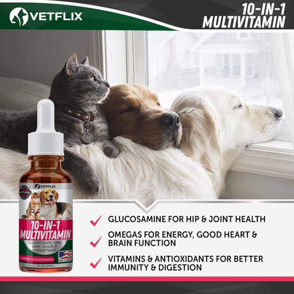 VETFLIX Pet Vitamins 10 in 1 - Made in USA - Glucosamine For Dogs & Cats - Dog Supplement for Pet Joint Health - Natural Cat & Dog Multivitamin - All Ages & Breeds - Folic Acid For Cats & Dogs Immune