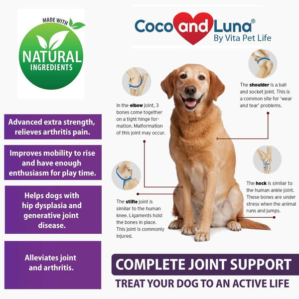 Glucosamine for Dogs, Hip and Joint Support for Dogs, MSM, Chondroitin, Pain Relief from Arthritis, Joint Inflammation and Dysplasia, for Healthy Cartilage and Mobility, 120 Natural Chew-able Tablets