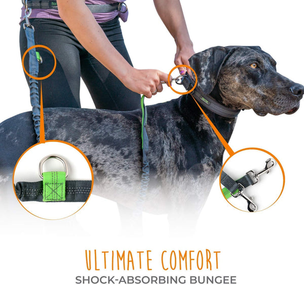 Mighty Paw Hands Free Dog Leash, Premium Running Dog Leash, Lightweight Reflective Bungee Dog Leash