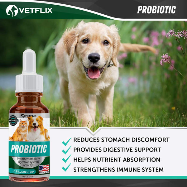 VETFLIX Probiotics for Dogs & Cats - Digestive Pet Enzymes - Made in USA - L.Rhamnosus & B.Lactis - Relieves Dog Diarrhea & Vomiting - Optimizes Pet Immune System - Enhances Overall Health