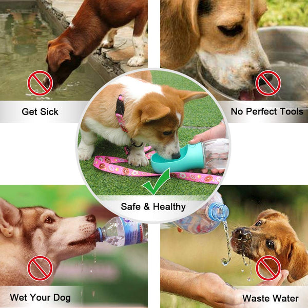 QQPETS Dog Water Bottle Leak Proof Portable Travel Drink Cup with Bowl Dispenser for Pet Outdoor Walking Hiking Travelling 12 OZ