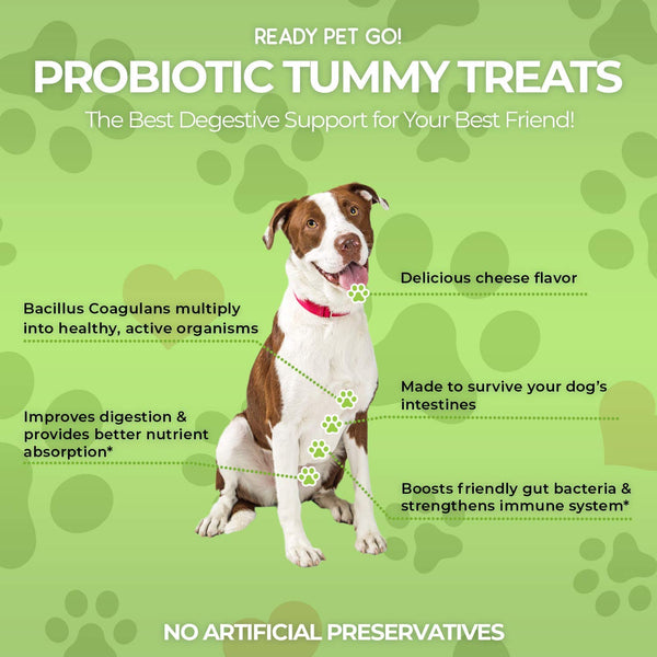 Ready Pet Go! Dog Probiotics - Digestive Enzymes for Dogs - Dog Diarrhea, Dog Breath Treats, Upset Stomach, Gas + Constipation Relief - Allergy & Immune + Hot Spots - Dog Supplements - 90 Dog Chews