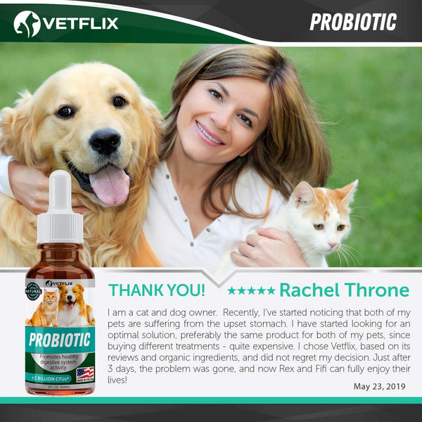 VETFLIX Probiotics for Dogs & Cats - Digestive Pet Enzymes - Made in USA - L.Rhamnosus & B.Lactis - Relieves Dog Diarrhea & Vomiting - Optimizes Pet Immune System - Enhances Overall Health