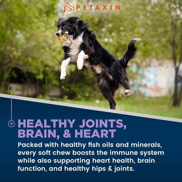 Petaxin Omega 3 Fish Oil for Dogs Chew - with EPA, DHA, and Biotin - Supports Healthy Skin, Shiny Coat, Hips & Joints, Heart Health, and Brain Function - Skin and Coat Supplement - Non-GMO - 120 Ct.