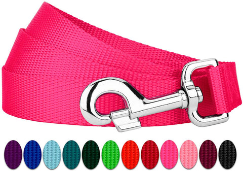 Country Brook Petz - Vibrant 13 Color Selection - Heavyduty Doublehandle Nylon Leash (6 Foot, 1 Inch Wide)