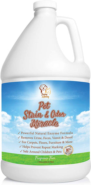 Pet Stain & Odor Remover, Enzyme Cleaner, Odor Eliminator, Best Carpet Stain Remover, Pet Odor Eliminator, Stain Remover, Odor Neutralizer, Cat Urine Smell - Cleaner - Eliminator, Sunny and Honey, 1 Gallon