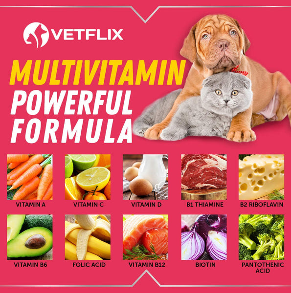 VETFLIX Pet Vitamins 10 in 1 - Made in USA - Glucosamine For Dogs & Cats - Dog Supplement for Pet Joint Health - Natural Cat & Dog Multivitamin - All Ages & Breeds - Folic Acid For Cats & Dogs Immune