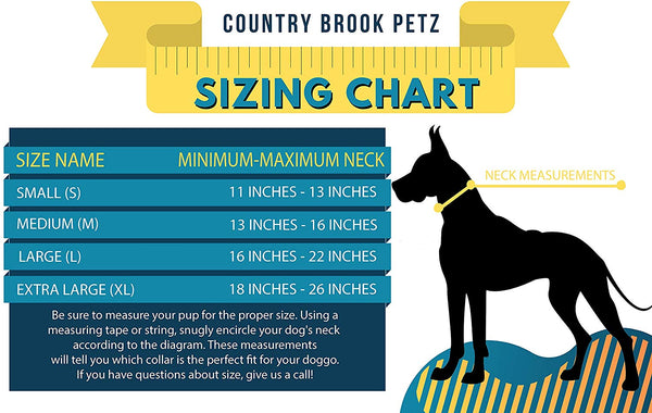 Country Brook Petz - Premium Nylon Dog Collar with Metal Buckle - Vibrant 25 Color Selection